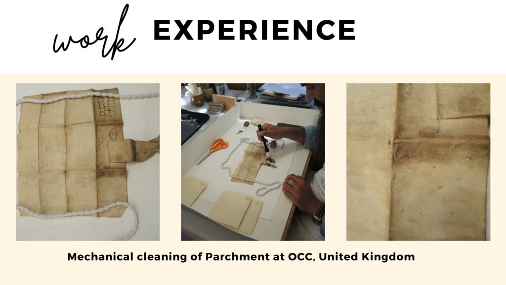 Surjit Singh Conservator | ConservEdu Enterprises | Oxford Experience