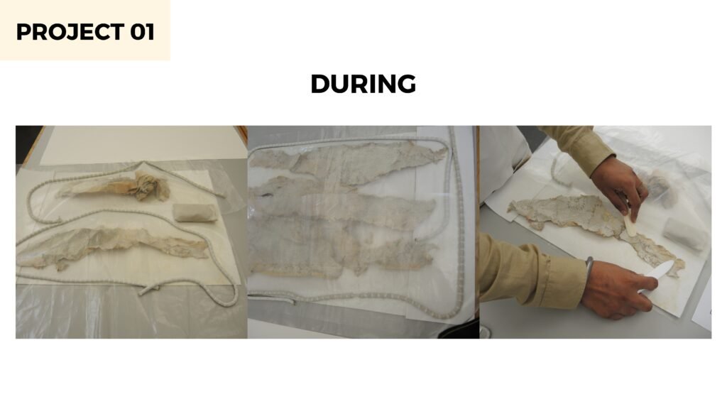 Surjit Singh Conservator | ConservEdu Enterprises